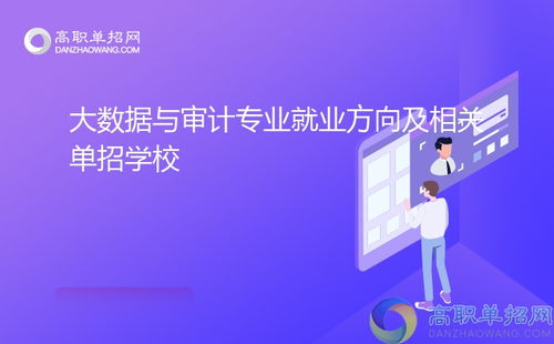 大數(shù)據(jù)與審計(jì)專業(yè)就業(yè)方向及相關(guān)單招學(xué)校技術(shù)服務(wù)